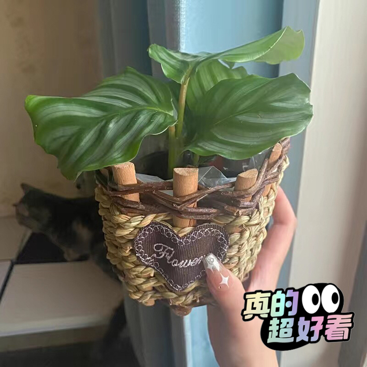 假花花篮家庭装饰插花花瓶草编花篮欧美风花束...