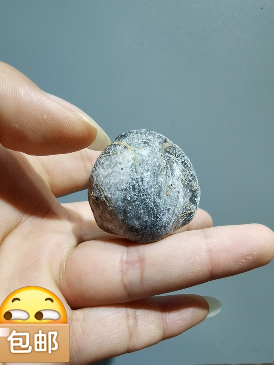 灵璧石    贝壳化石小品灵璧奇石    ...