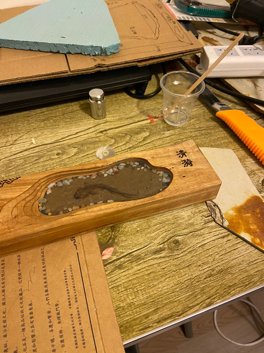 鱼化石 化石鱼 狼鳍鱼化石 群鱼化石