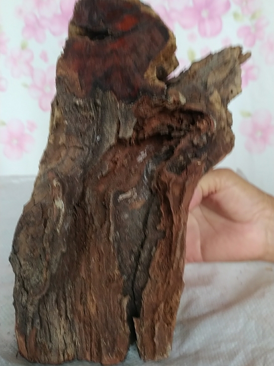 几百年的雷击枣木料，这料子年份好，它是纯天...