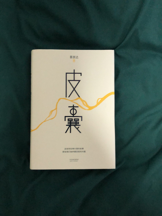 正版书，蔡崇达-皮囊