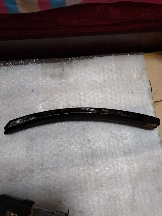 一线收货肋骨化石一根，万年化石通走 15元...