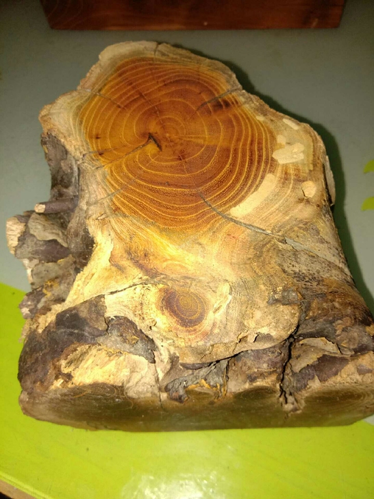 老树根一块，14X10x10厘米