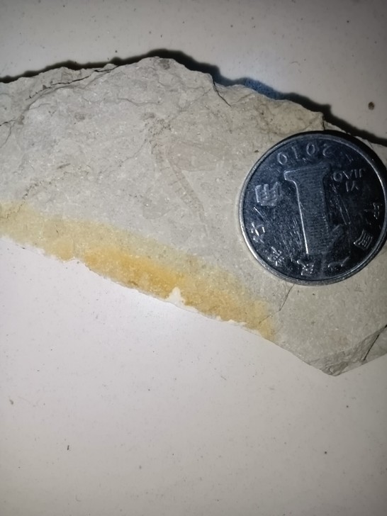 宁城道虎沟昆虫化石标本弟五组，九块一起出不...