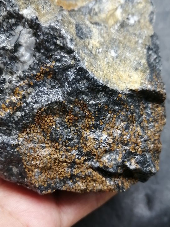 奇石～（疑似鱼籽化石）自己捡的，纹理漂亮，...