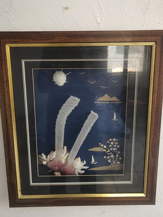 贝壳装饰画,5个打包400元,不议价,惠州...