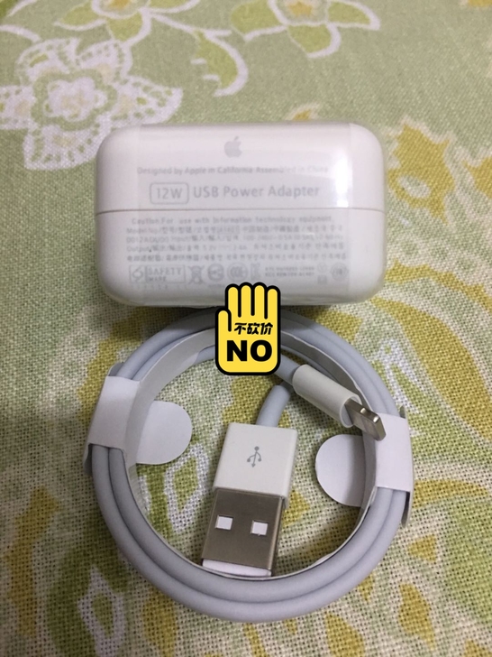 个人闲置  苹果原装充电器ipad12W充...