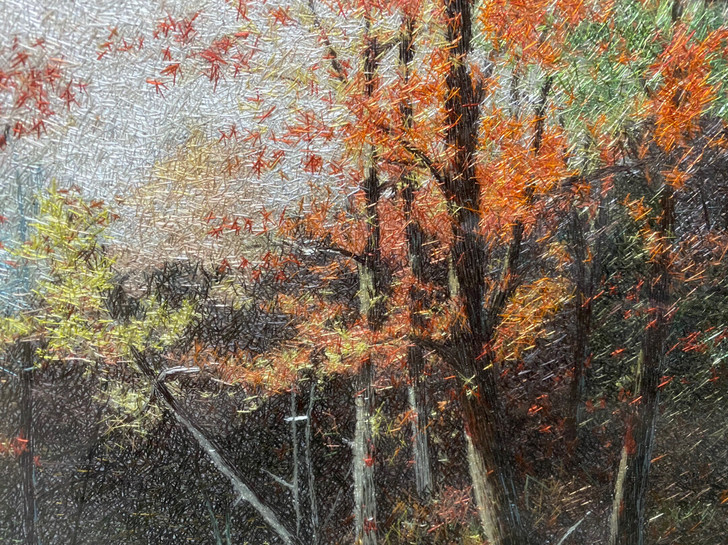 刺绣画一幅，高端大气，500出，有需要的拍...