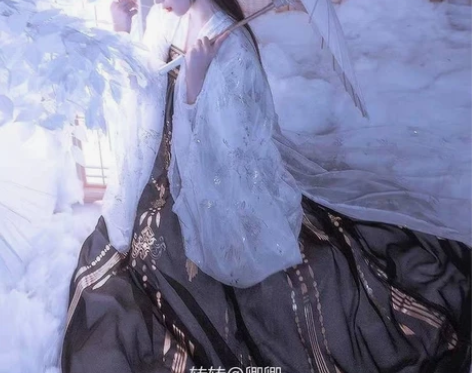 艺缕黑云鹤正品汉服女齐胸襦裙 入手渠道:与...