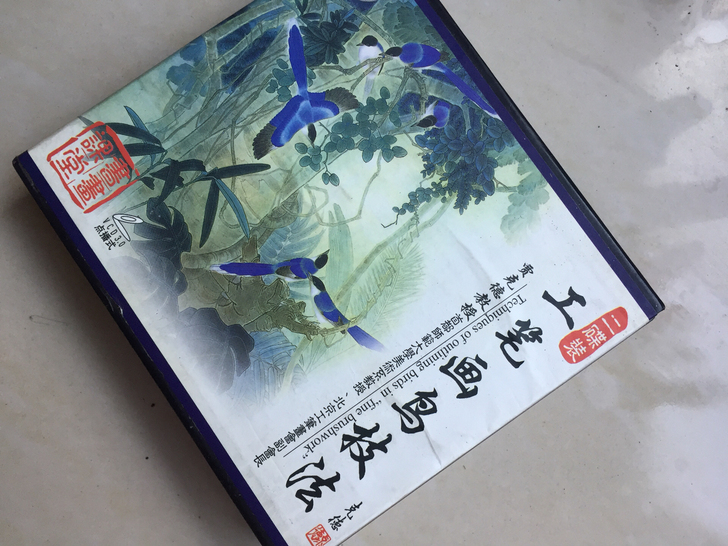 工艺画鸟技法光盘