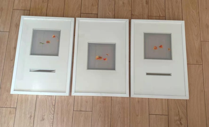 苏绣画5副画，展位撤展，全新。不包邮，运费...