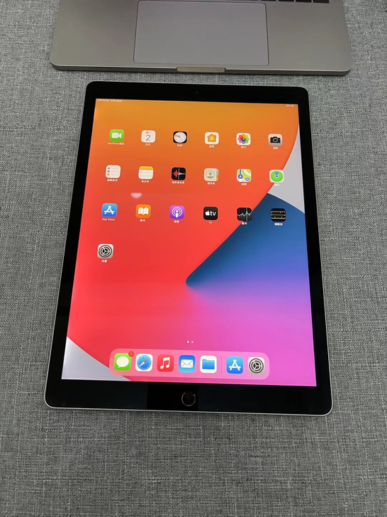ipad pro 12.9寸二代 256G...