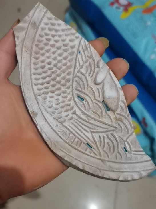 孔雀蓝,鲤鱼海水盘。标本。