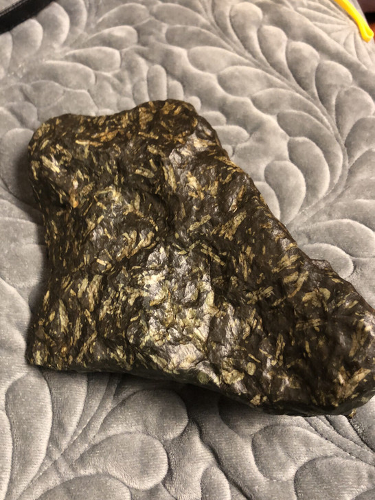 新疆戈壁远古海洋水草化石，像茶叶（黑茶饼或...