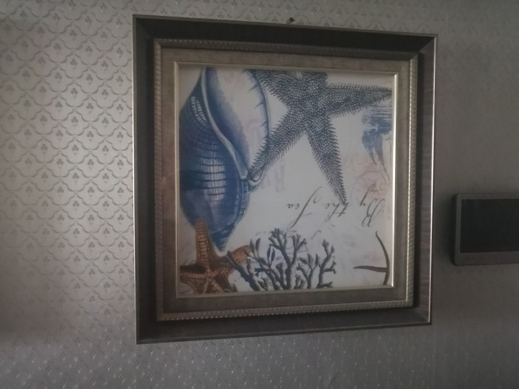 海洋装饰画，99新，自提