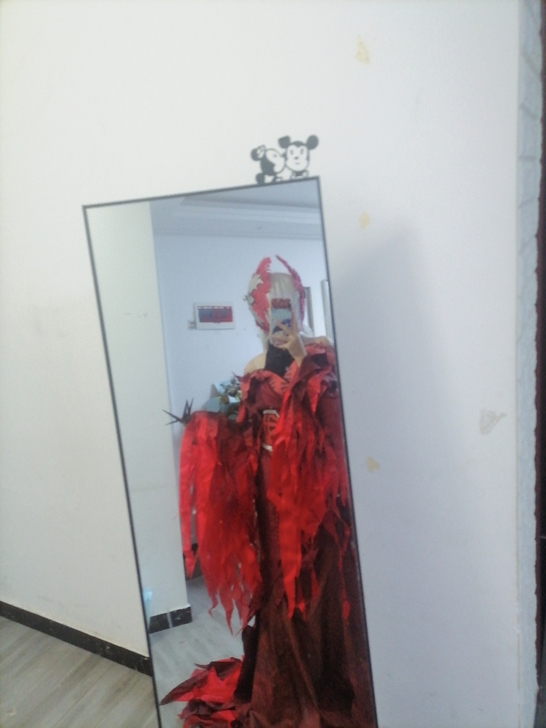 三分家红蝶仙鹤cos