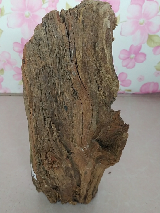 下乡收到一块老枣木,雷击木,百年的雷击红心...