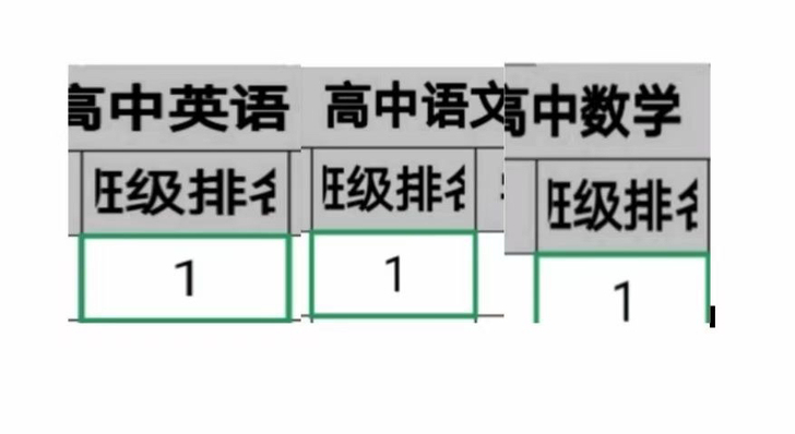 高中辅导初中辅导一对一语文数学英语化学生物...