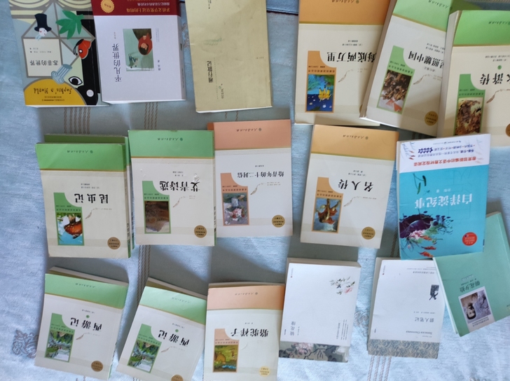 初中必备课外书