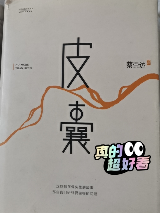 好书推荐《皮囊》