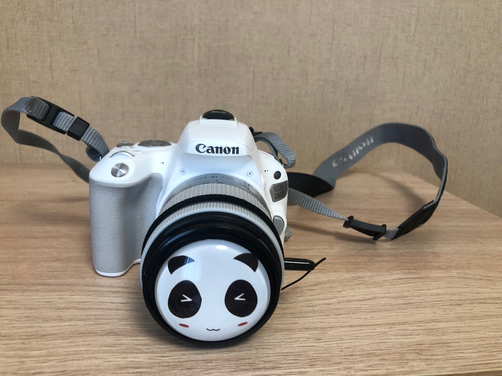 佳能(Canon)EOS 200D 单反相...