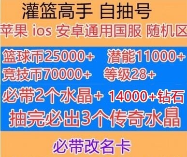 苹果IOS安卓灌篮高手手高等级极品号自抽号...
