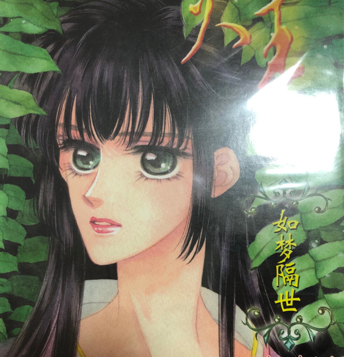 纸片 卡片 游素兰 火王 14张全,新疆...