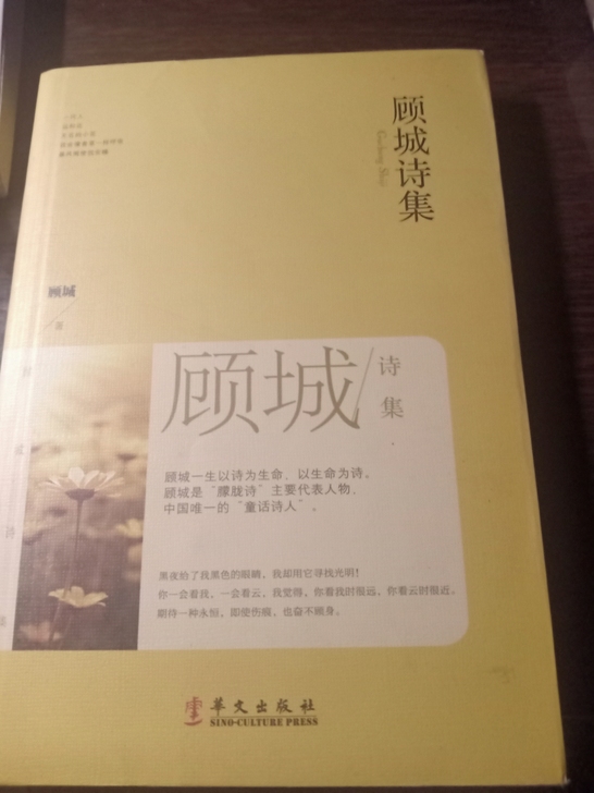 顾城诗集