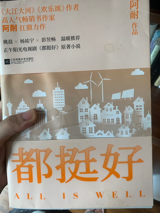 小说都挺好
