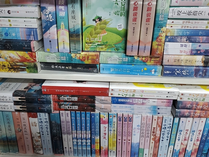 出售各类青春文学