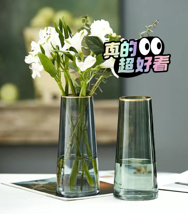 北欧ins玻璃花瓶透明水养富贵竹干鲜花百合...