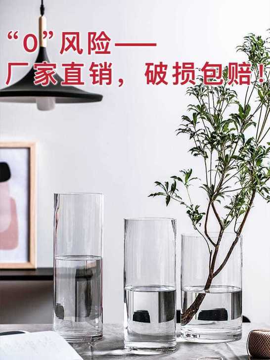 特大花瓶摆件客厅插花透明玻璃创意简约直筒富...