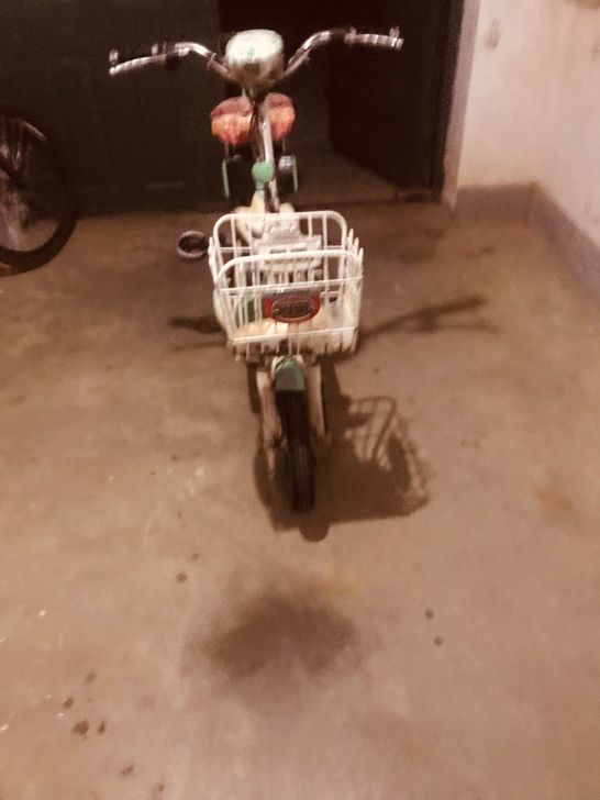 小仙女骑的老凤凰电动车 换轿车闲置不用了 ...