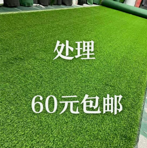 【60元一卷】处理一批出口品质草坪仿真幼儿...