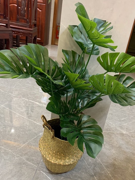 【捡漏】北欧逼真植物龟背竹软装绿植送花篮客...