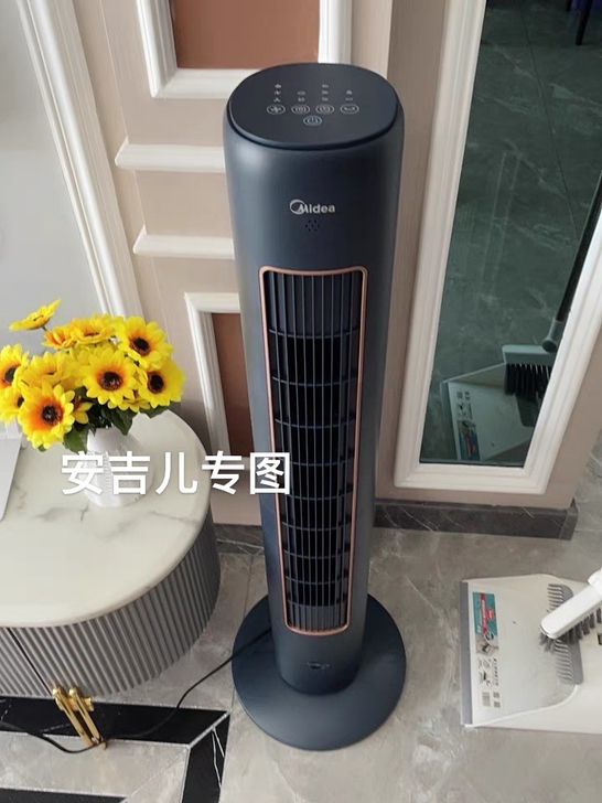 美的（Midea）新品电风扇家用风扇遥控可...