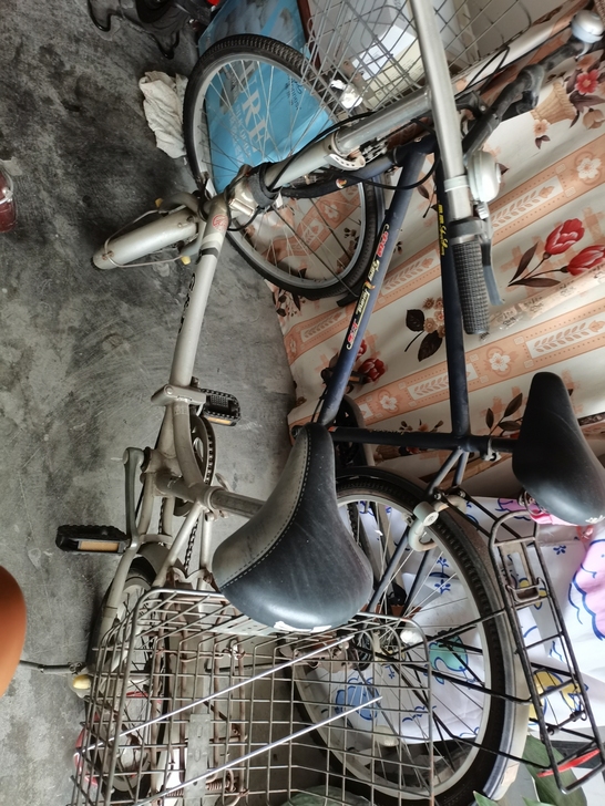 小型折叠自行车，自提，50元