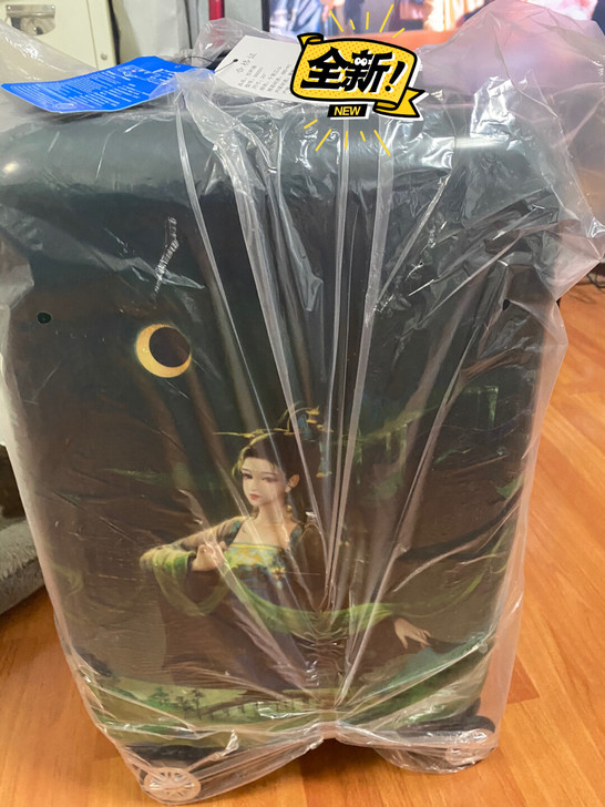 TSALOCK拉杆箱 全新 20寸