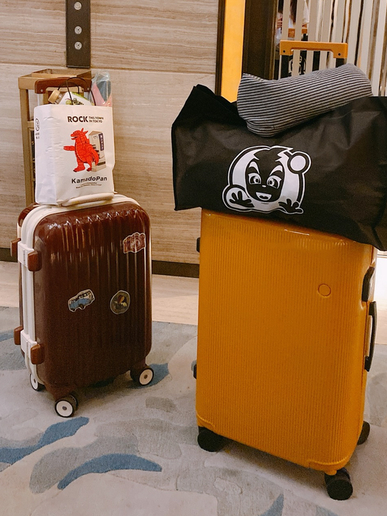 ito老款 20寸巧克力登机箱/旅行箱/复...