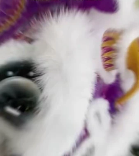 2022年新作，《老夫子》预售款，欢迎预订...