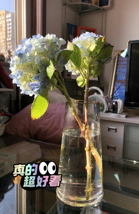 轻奢简约描金玻璃花瓶烟灰色客厅干花鲜花富贵...