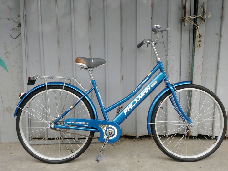 批发全新26寸女单，凤凰厂的，梦幻鸟，价格...