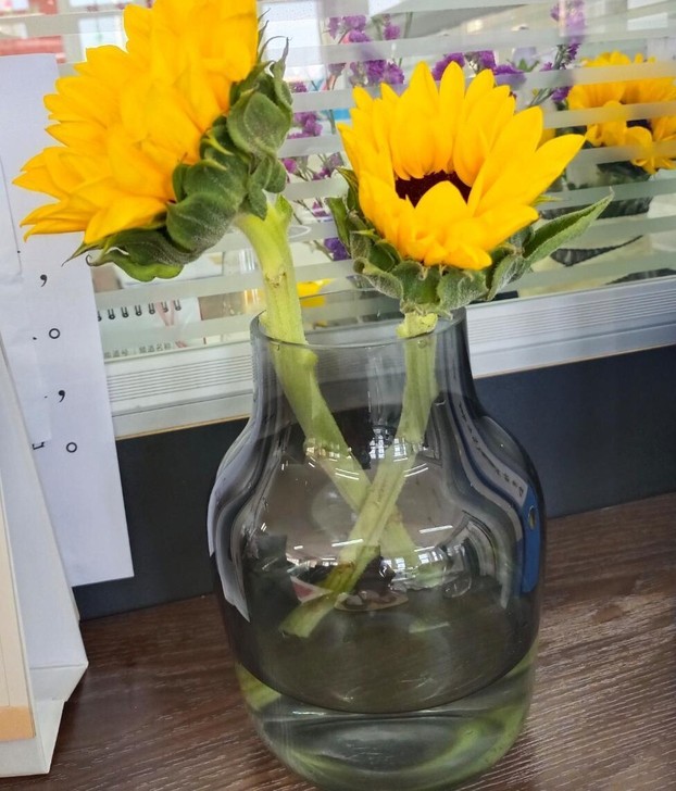 【清仓】全新北欧现代玻璃透明花瓶简约欧式复...