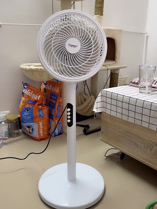 仓库直发空气循环风扇台地两用59.9元包邮