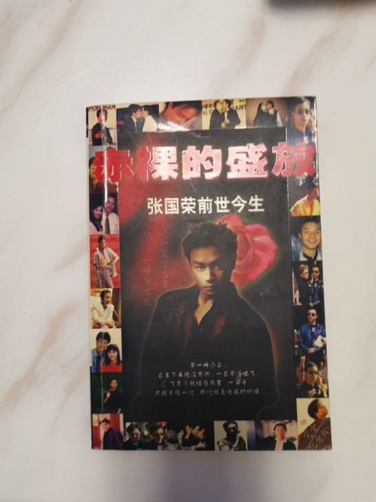 赤裸的盛放(张国荣前世今生)