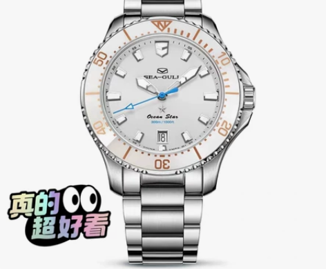 海鸥海洋之星Pro女表潜水表816.12....