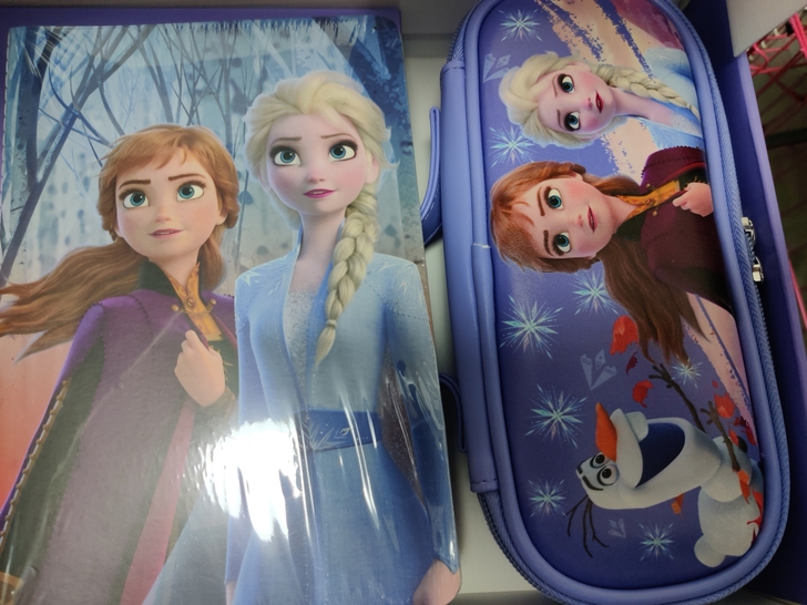 迪士尼爱莎笔袋和练习本 全新