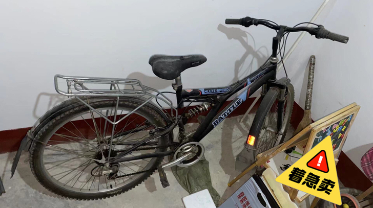 出自行车,买过骑了几次再也没碰过,一直在仓...