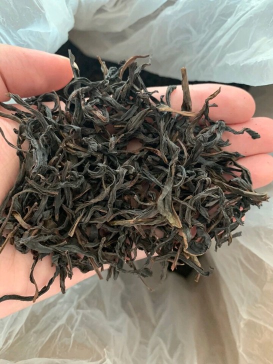 潮州凤凰单丛，自家种植潮州凤凰单枞，自家种...