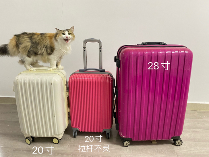 打包价 右边 两个 行李箱